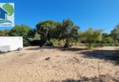 Casa de camp amb terreny en venda a El Puerto de Santa María ref.: TR333073 foto