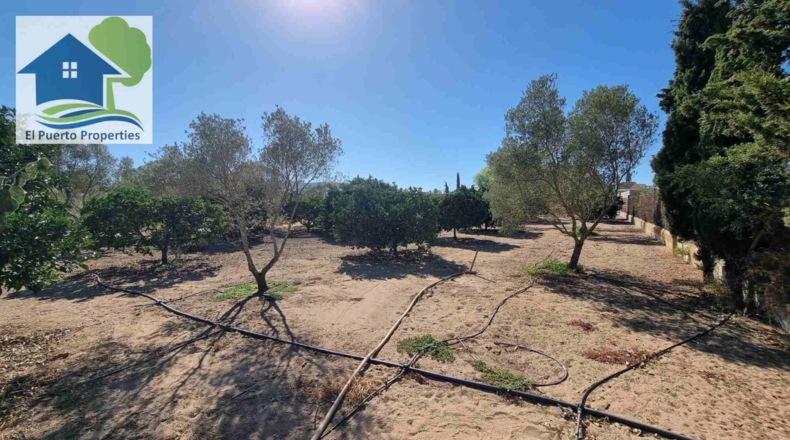 Cádiz - El Puerto de Santa María - 5000m2