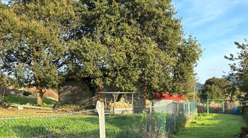 Cantabria - Santiuste - 15000m2