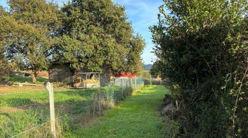 Cantabria - Santiuste - 15000m2