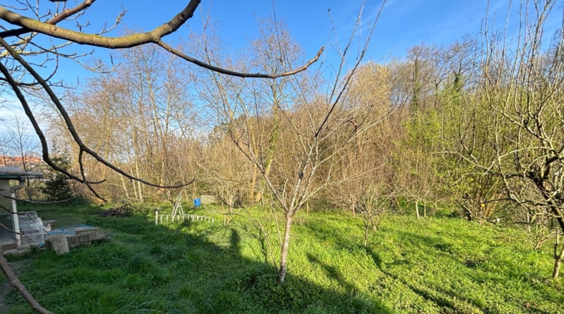 Cantabria - Hazas de Cesto - 1500m2