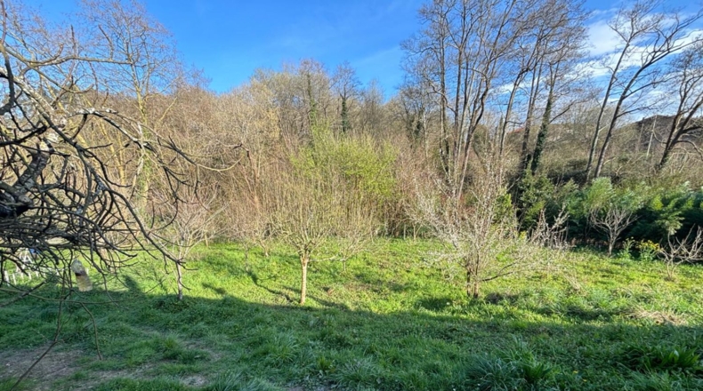 Cantabria - Hazas de Cesto - 1500m2