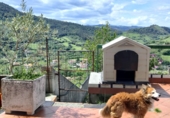 Casa de camp amb terreny en venda a la España, Ciérvana, ref.: TR264438 foto
