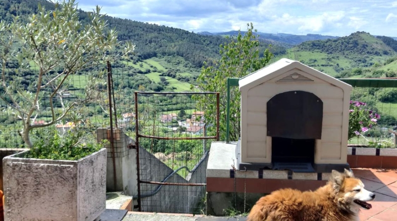 Vizcaya - Ciérvana - 1840m2