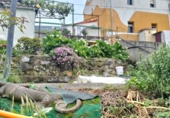 Casa de camp amb terreny en venda a la España, Ciérvana, ref.: TR264438 foto