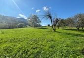 Finca rústica en venta en la España, Matienzo, ref: TR342472 foto