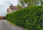 Casa de pueblo en venta en la España, Ajo, ref: TR357347 foto