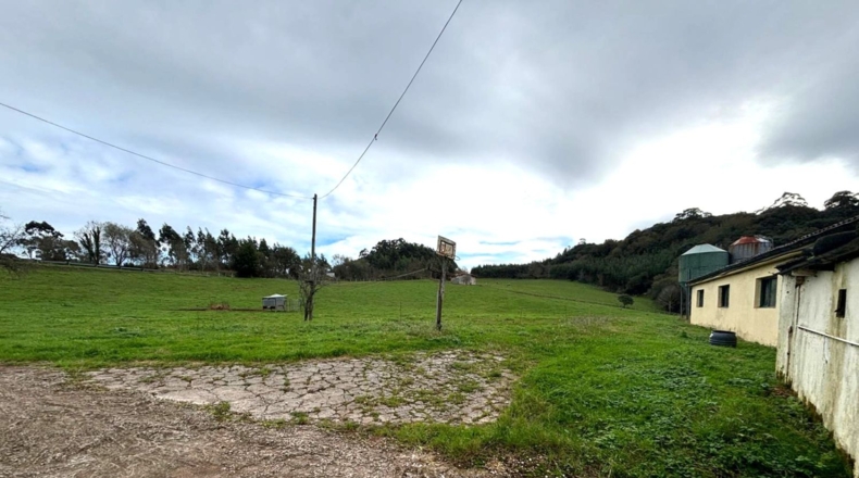 Cantàbria - Hazas de Cesto - 100000m2