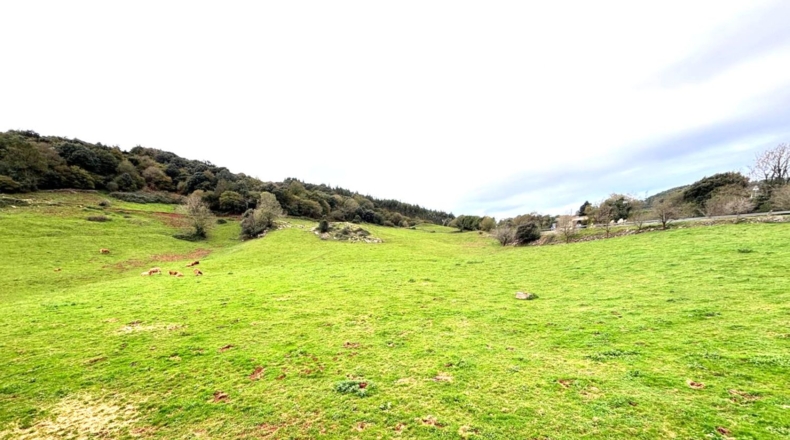 Cantàbria - Hazas de Cesto - 100000m2
