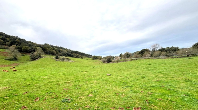 Cantàbria - Hazas de Cesto - 100000m2