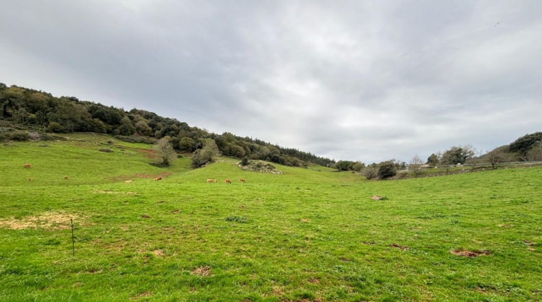 Cantàbria - Hazas de Cesto - 100000m2