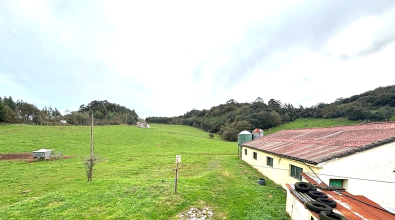 Cantàbria - Hazas de Cesto - 100000m2
