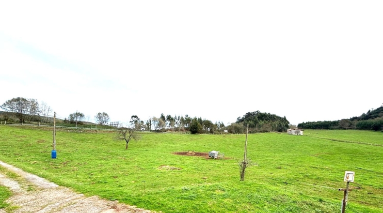 Cantàbria - Hazas de Cesto - 100000m2