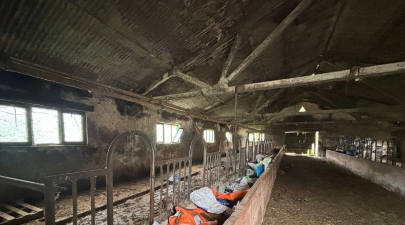 Cantàbria - Hazas de Cesto - 100000m2