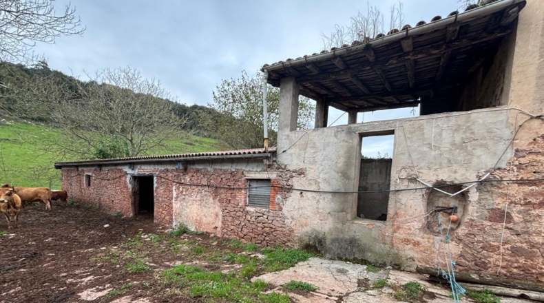 Cantàbria - Hazas de Cesto - 100000m2