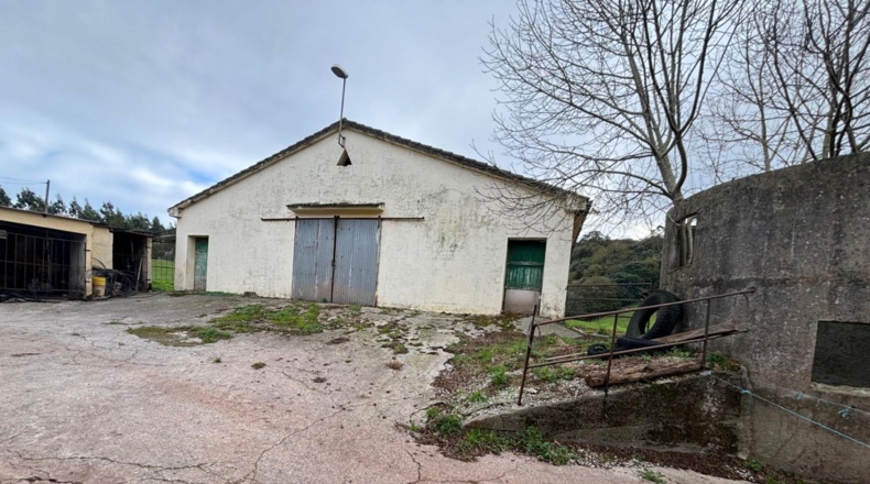 Cantàbria - Hazas de Cesto - 100000m2