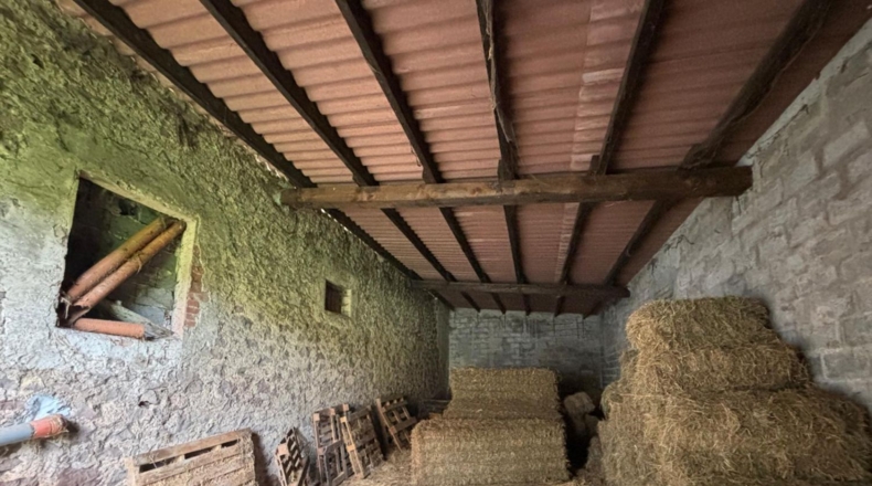 Cantàbria - Hazas de Cesto - 100000m2