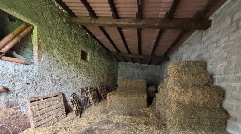 Cantàbria - Hazas de Cesto - 100000m2