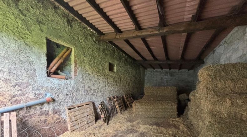 Cantàbria - Hazas de Cesto - 100000m2