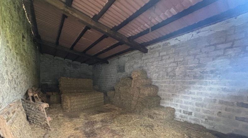 Cantàbria - Hazas de Cesto - 100000m2