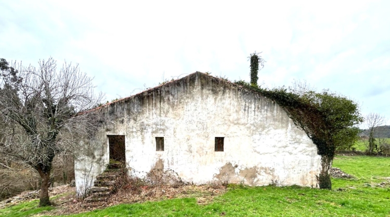 Cantàbria - Solórzano - 15000m2