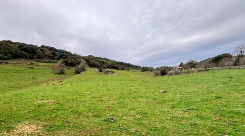 Cantabria - Güemes - 2000m2