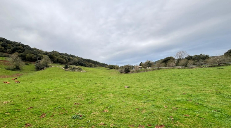 Cantabria - Güemes - 2000m2