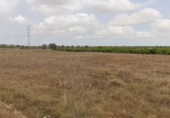Non-developable land for sale on España, Torrent, ref: TR235162 photo