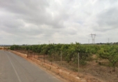 Non-developable land for sale on España, Torrent, ref: TR235162 photo