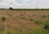 Non-developable land for sale on España, Torrent, ref: TR235162 photo