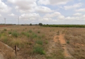 Non-developable land for sale on España, Torrent, ref: TR235162 photo