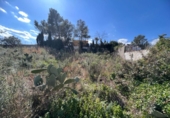 Chalet independiente con terreno en venta en la España, Montroy, ref: TR372932 foto