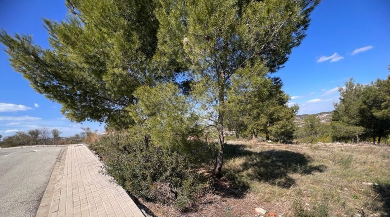 Valencia - Montroy - 675m2