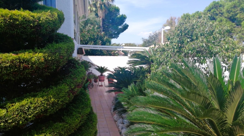 Valencia - Canet de Berenguer - 856m2
