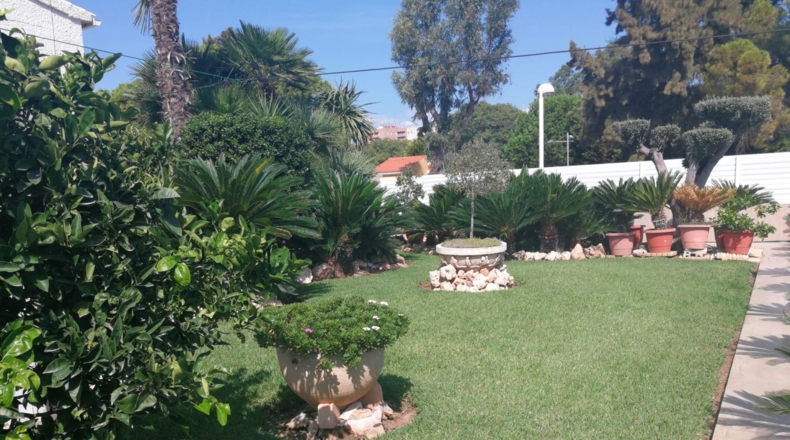 Valencia - Canet de Berenguer - 856m2