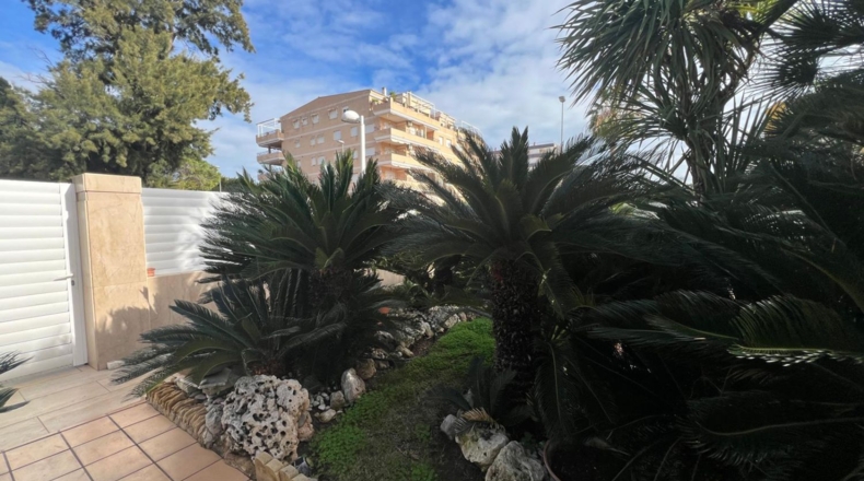 Valencia - Canet de Berenguer - 856m2