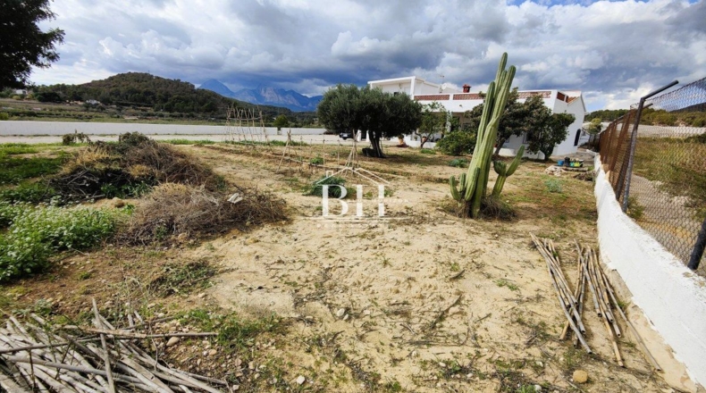 Alicante - Altea - 50870m2
