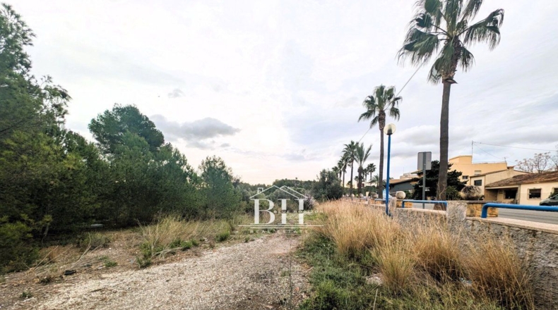 Alicante - La Nucía - 1210m2