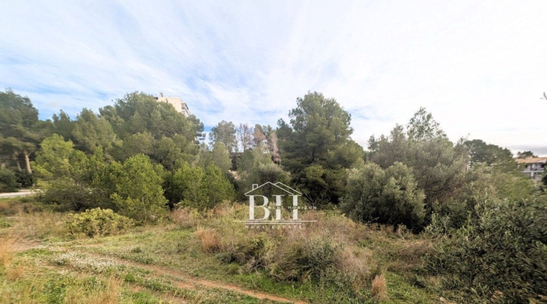 Alicante - La Nucía - 1210m2