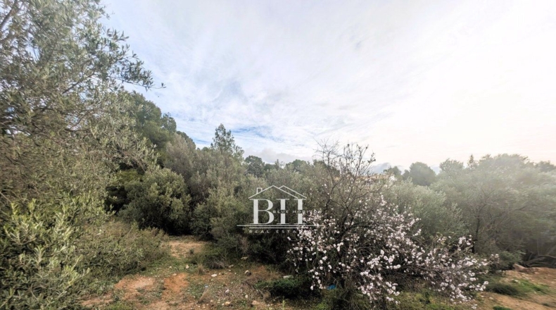 Alicante - La Nucía - 1210m2