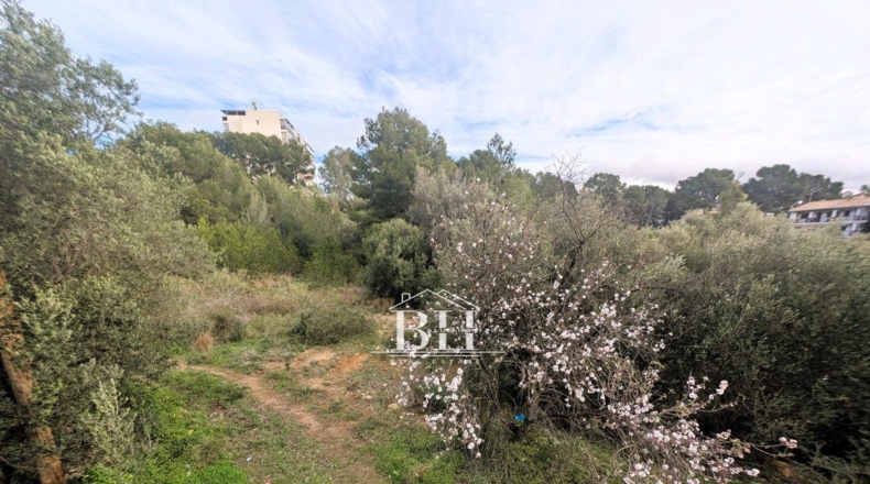 Alicante - La Nucía - 1210m2