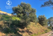Sòl urbà en venda a Fuengirola ref.: TR204213 foto