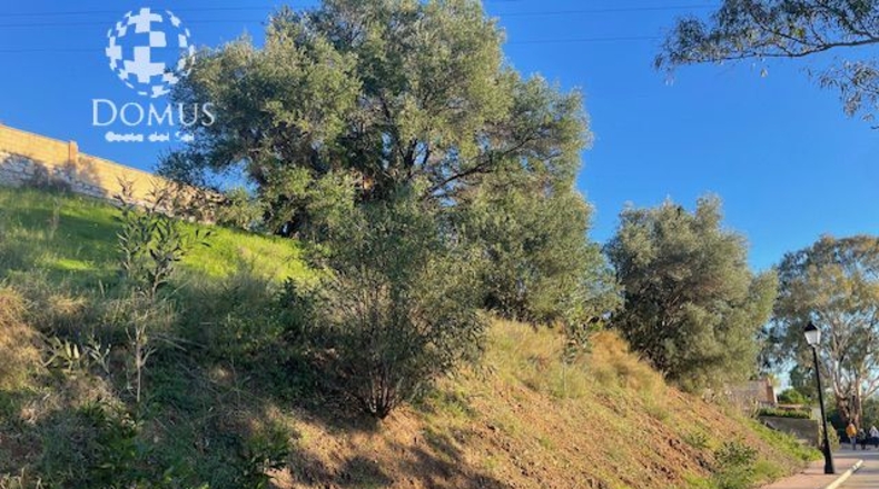 Málaga - Mijas - 1232m2
