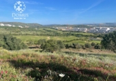 Parcel·la urbanitzable en venda a San Roque ref.: TR321789 foto