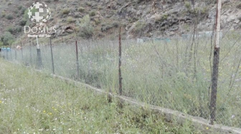 Malaga - Cártama - 180000m2