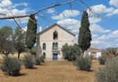 Rural estate for sale in Huéscar ref: TR176609 photo