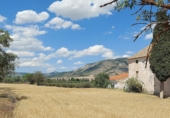 Rural estate for sale in Huéscar ref: TR176609 photo