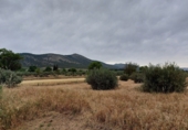 Rural estate for sale in Huéscar ref: TR176609 photo