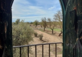 Rural estate for sale in Huéscar ref: TR176609 photo