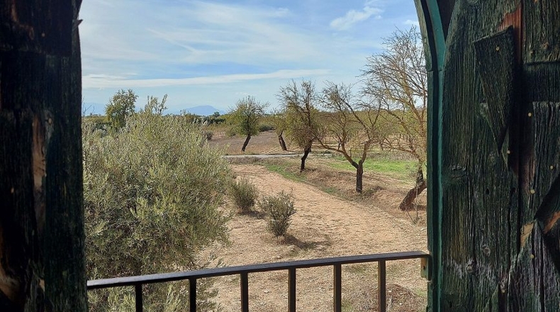 Granada - Huéscar - 6m2